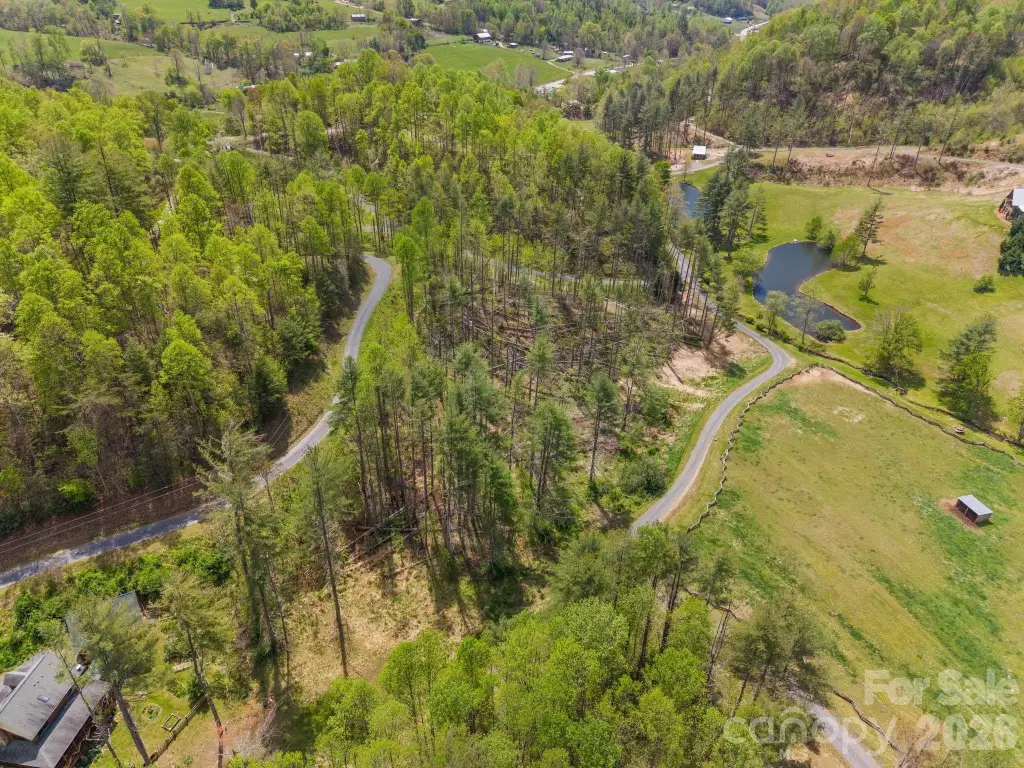 Picture 8