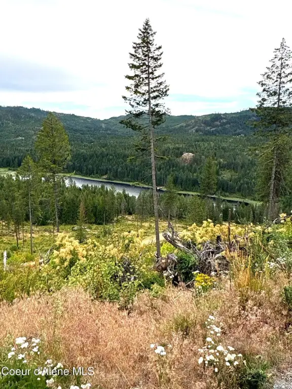Picture 17