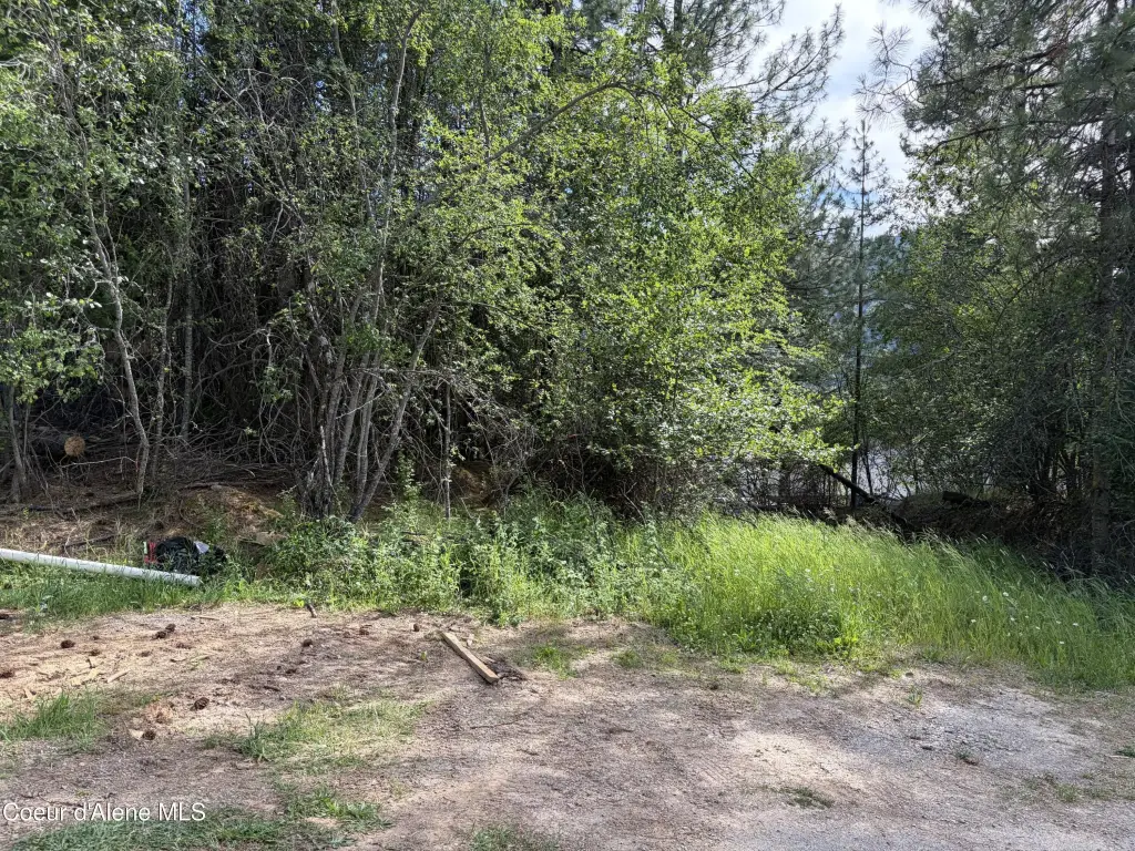 Picture 5