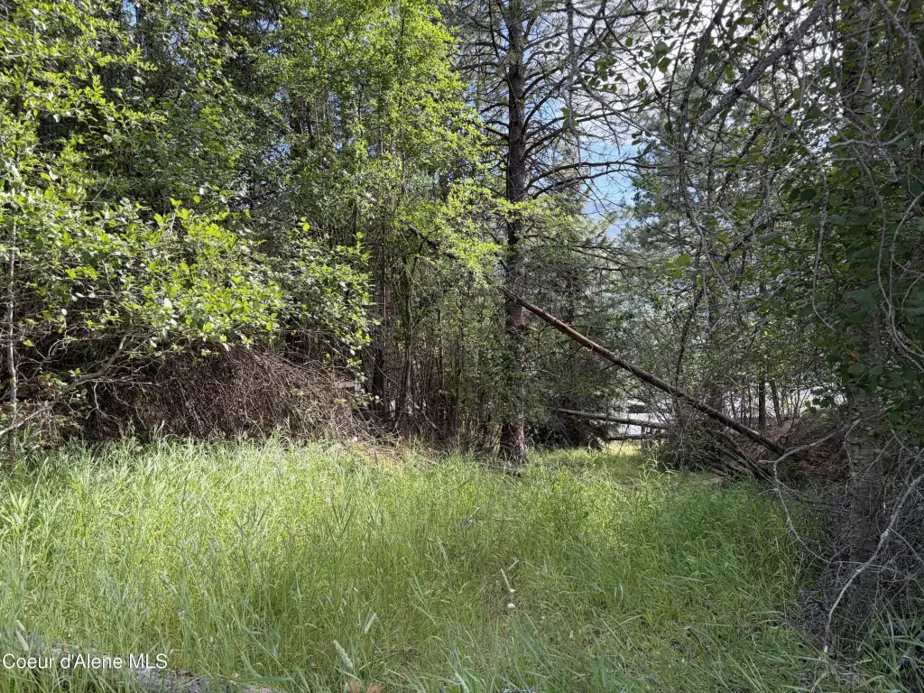 Picture 3