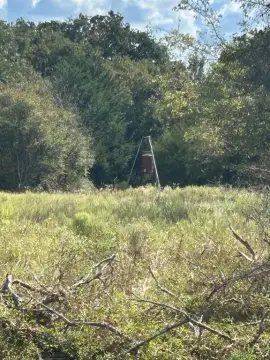 82 Acres of Pasture Land