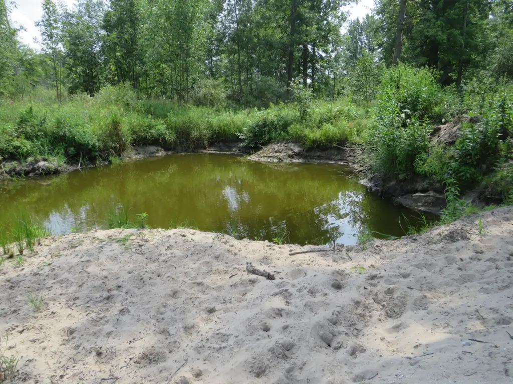 Picture 45