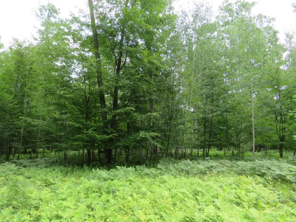 Picture 13