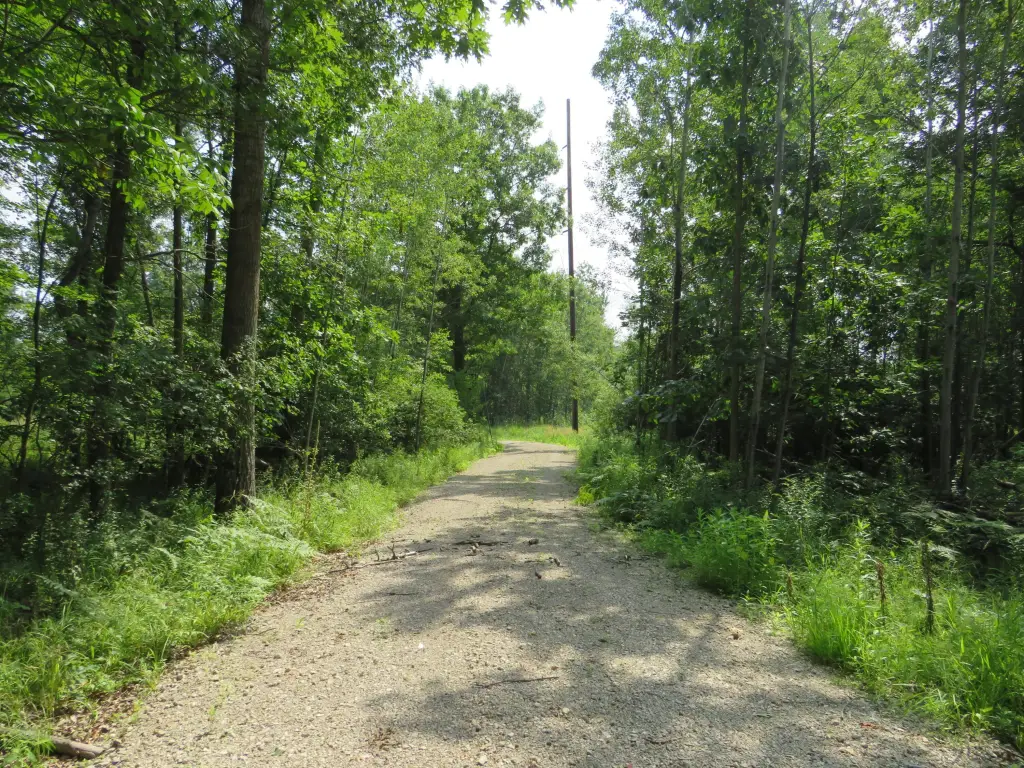 Picture 5