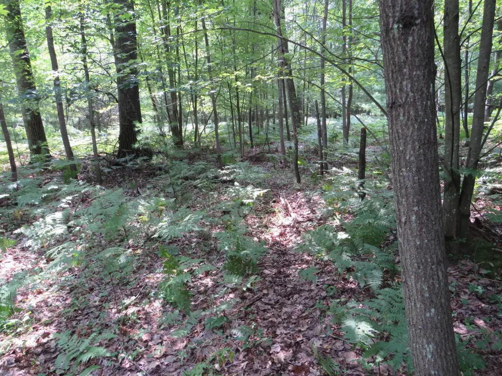 Picture 29