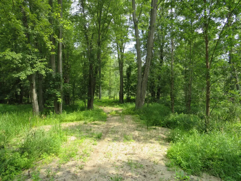 Picture 9