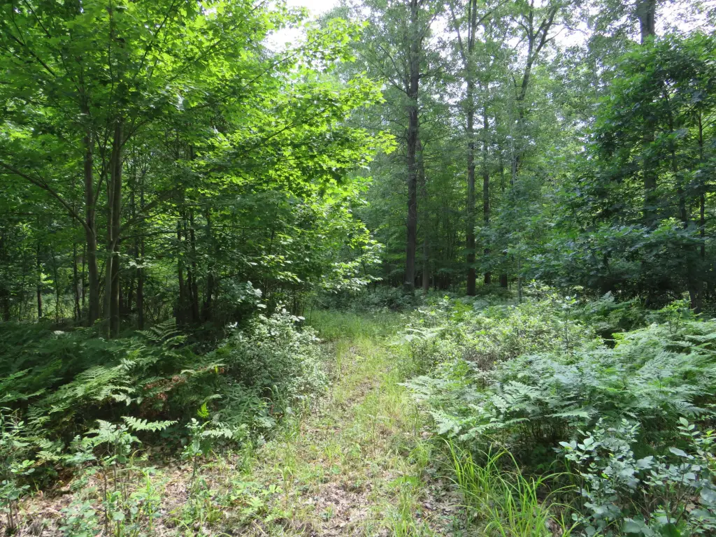 Picture 23