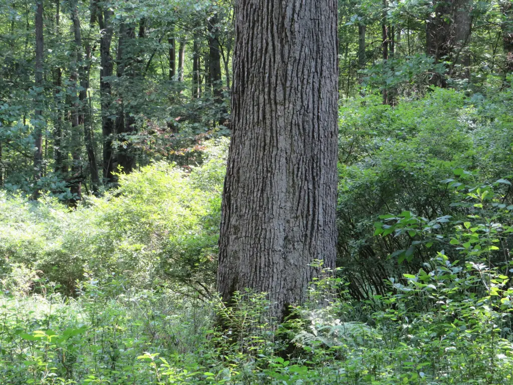 Picture 30