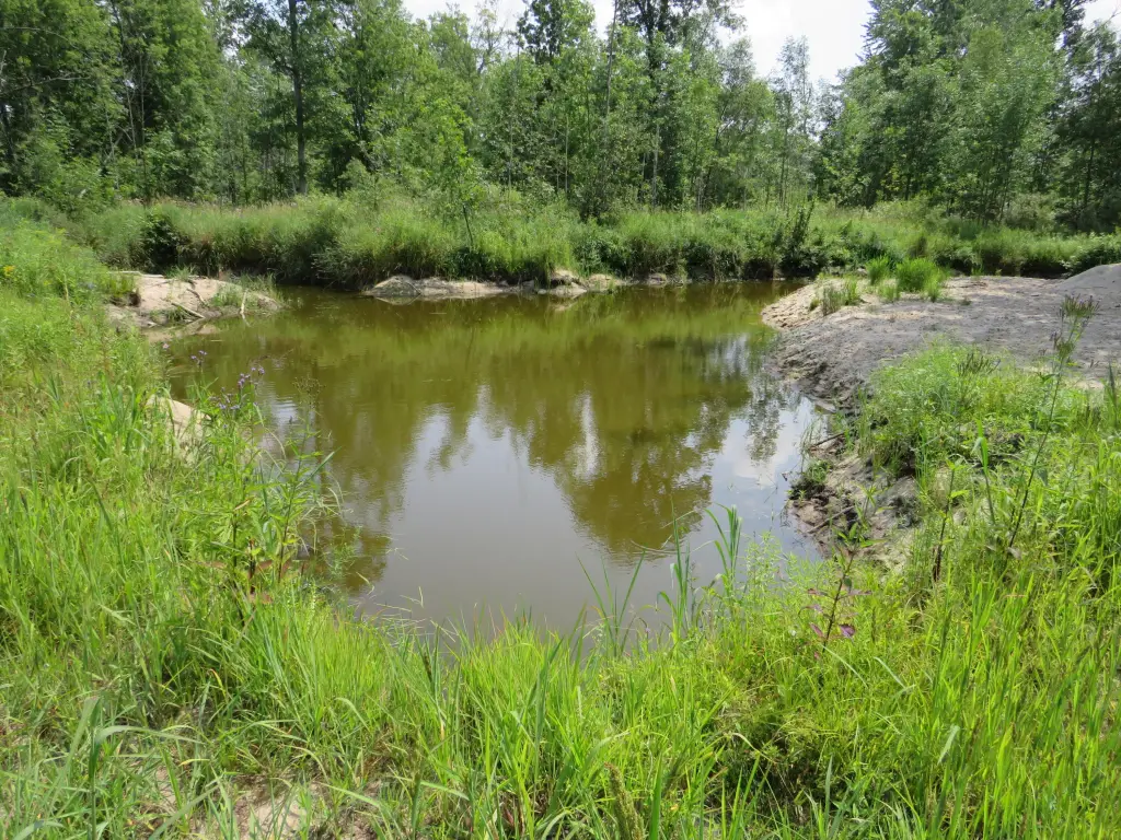 Picture 43