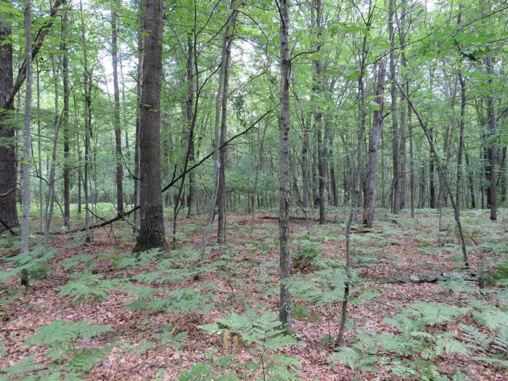 Picture 25