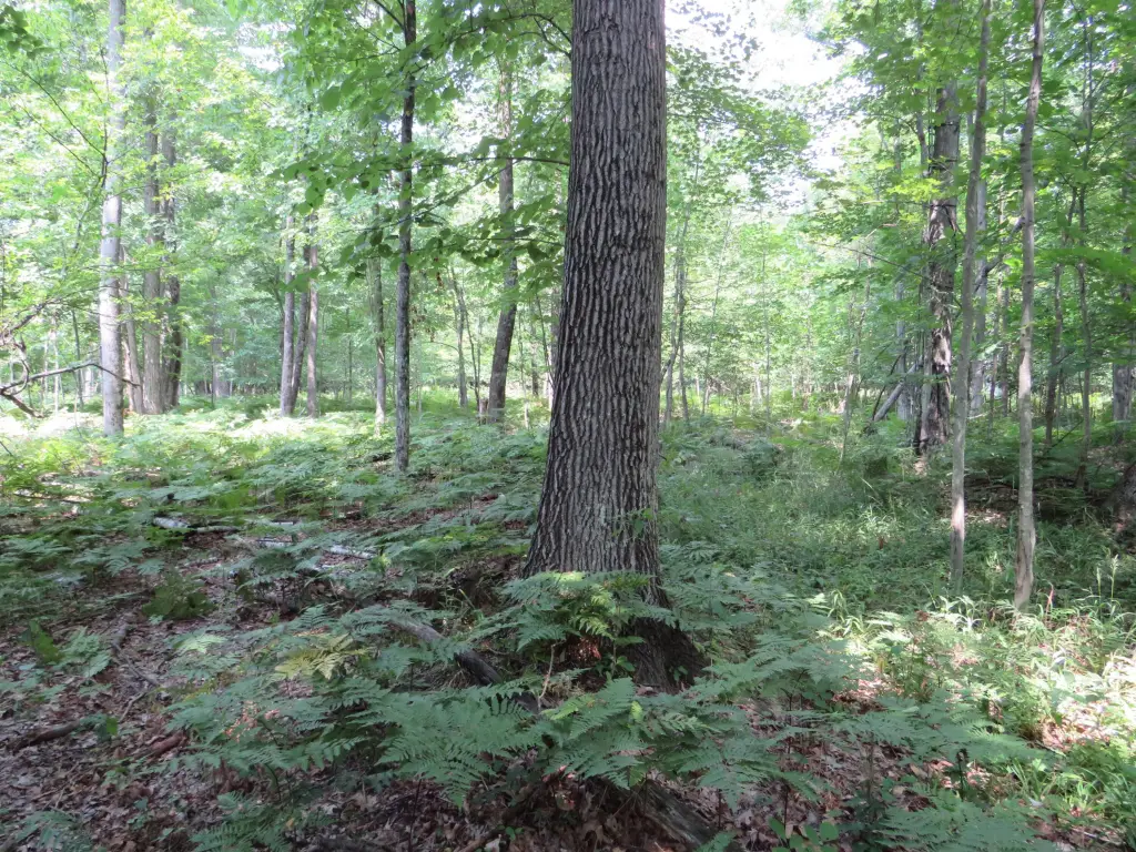 Picture 40