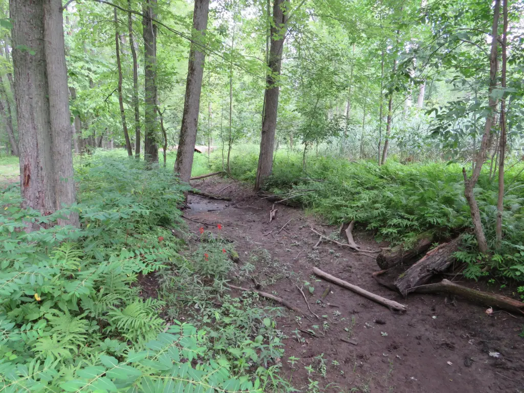 Picture 11