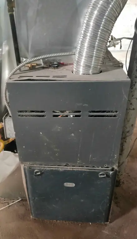 Picture 11