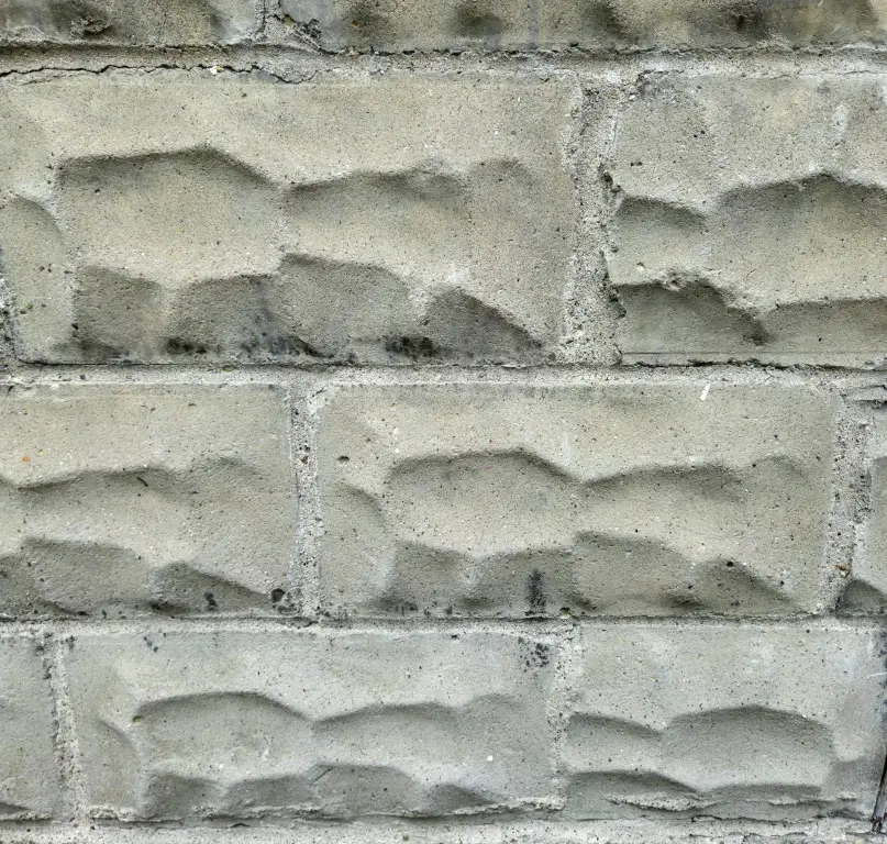 Picture 28