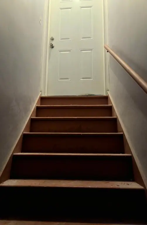 Picture 23