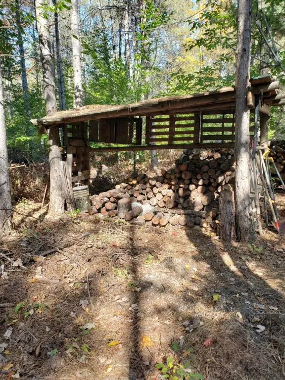 Picture 24