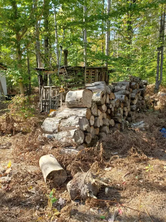 Picture 25