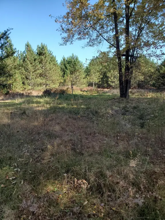 Picture 34