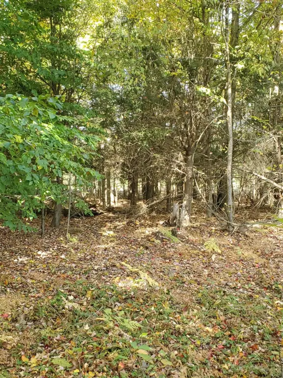 Picture 47
