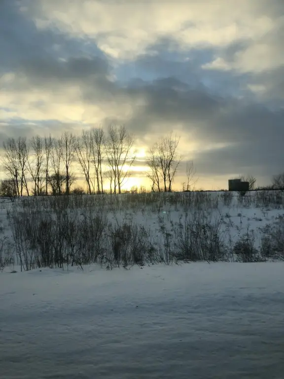 Picture 40