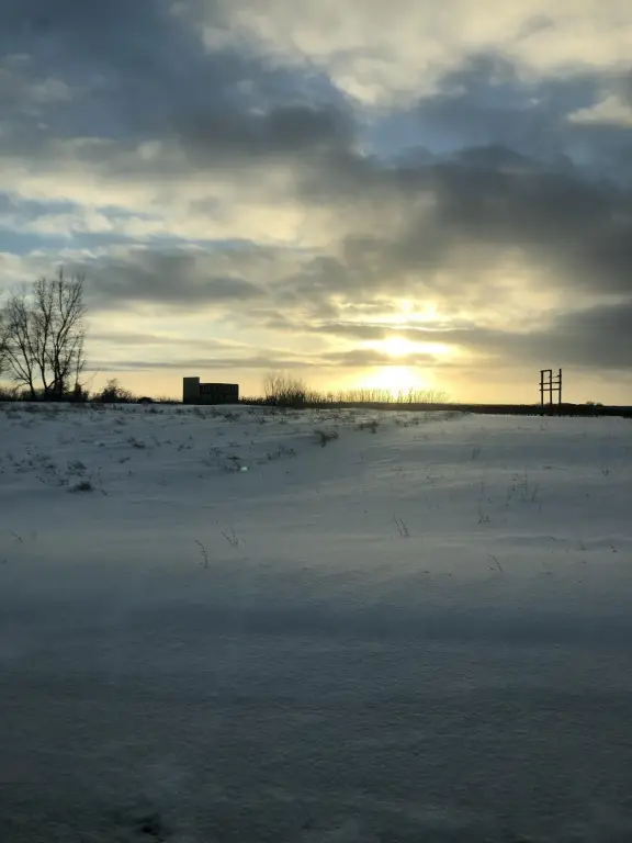Picture 41