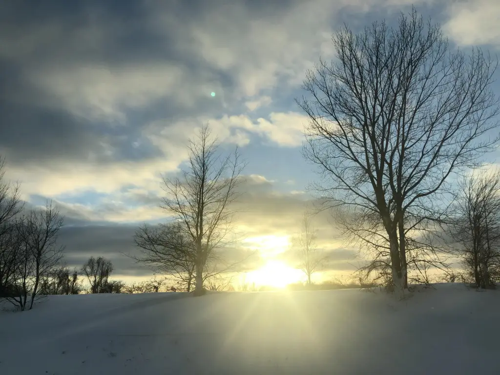 Picture 39
