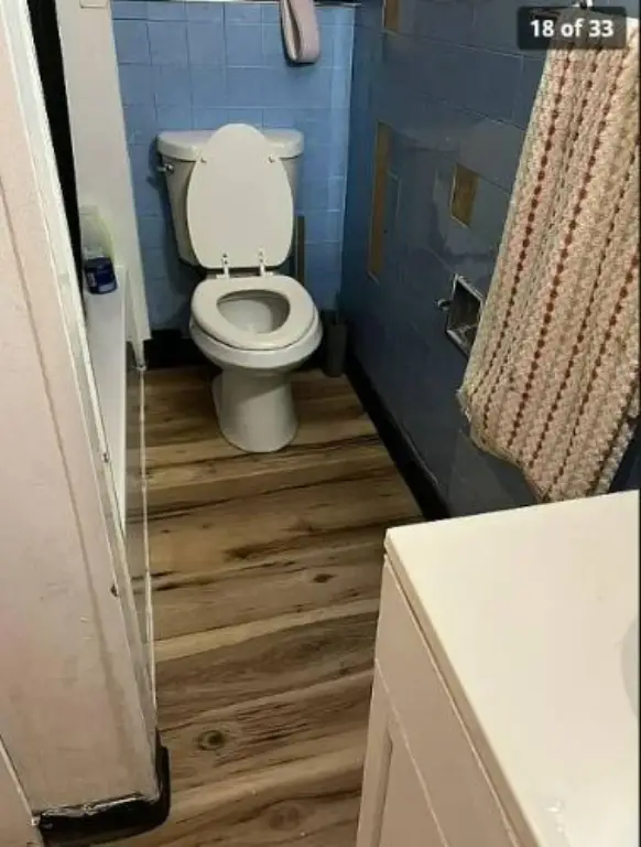 Picture 19