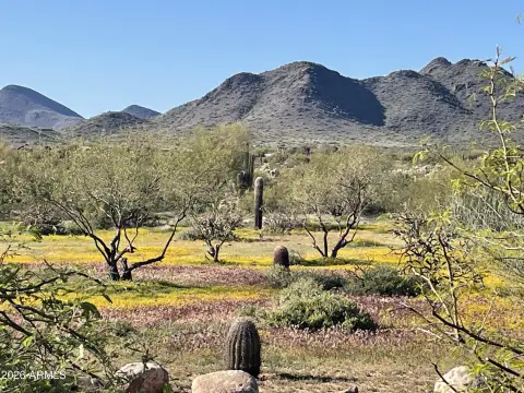 Cave Creek Land Opportunity