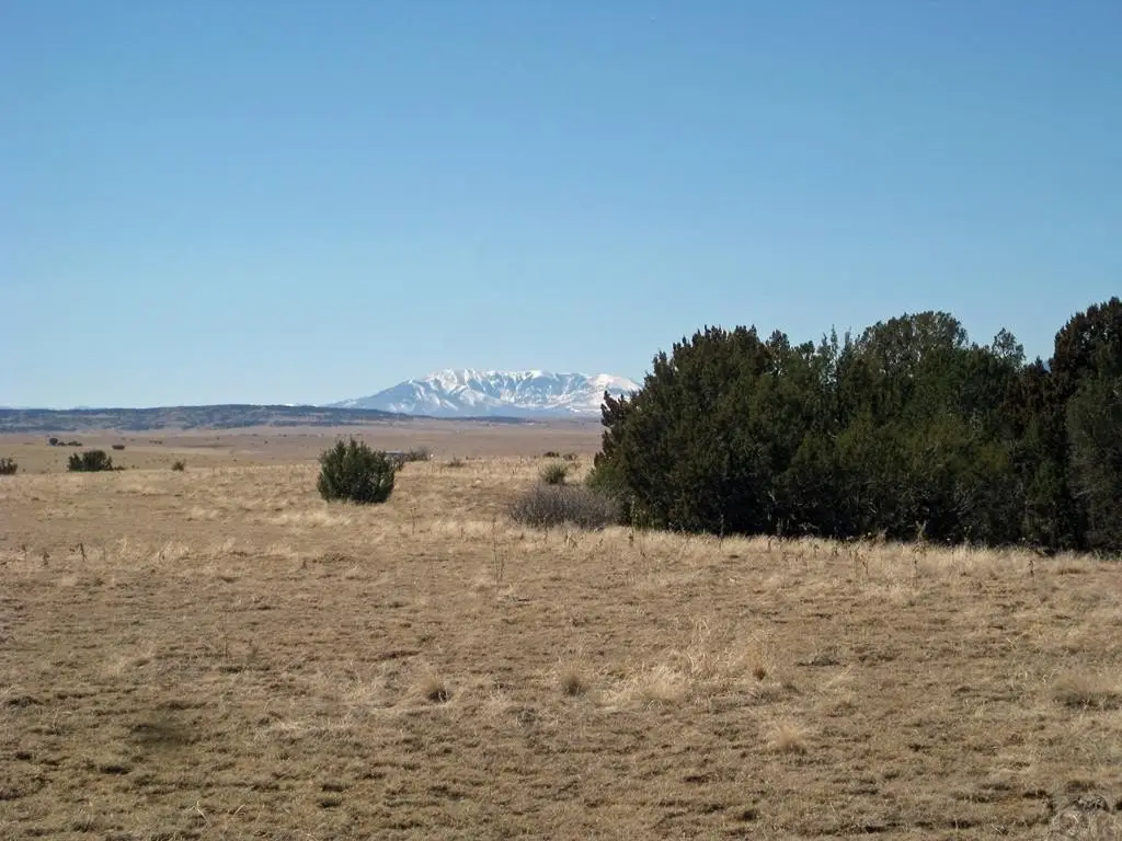 Picture 7