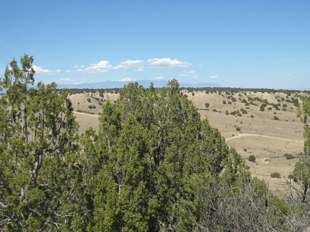 Picture 20