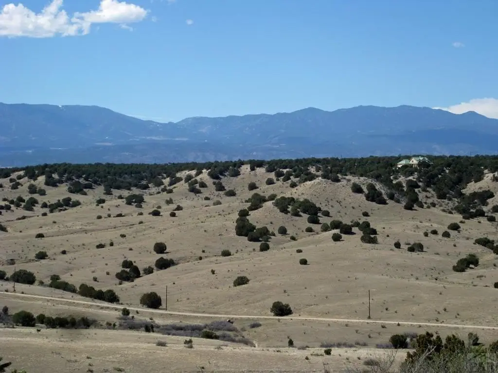 Picture 24