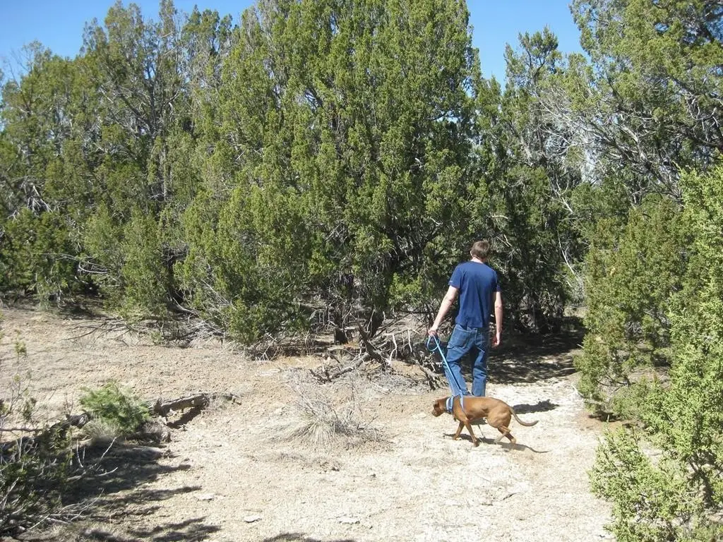 Picture 19