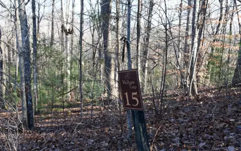 Scenic Mountain View Lot