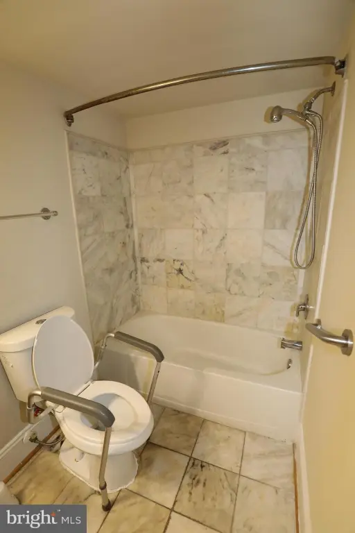 Picture 39