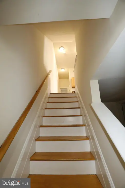 Picture 41