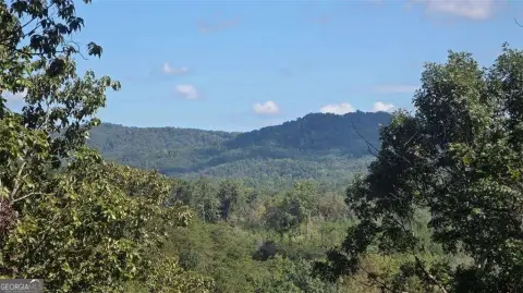 Ranger, GA Land Opportunity