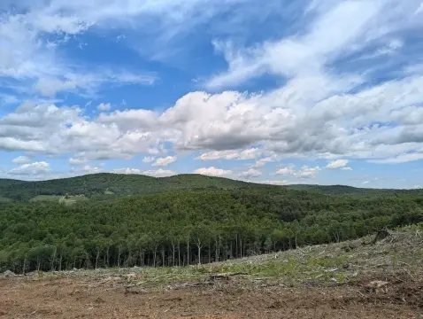 29.48 Acres Ready to Develop