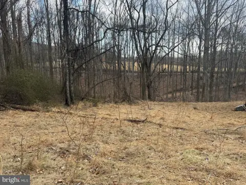 50 Acres of Wooded Land