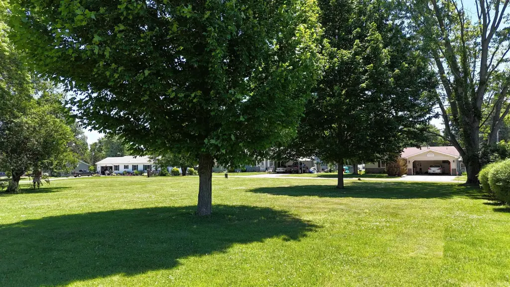 Picture 9