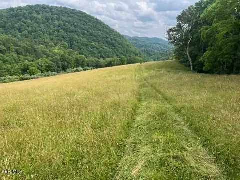 41 Acres in Gate City