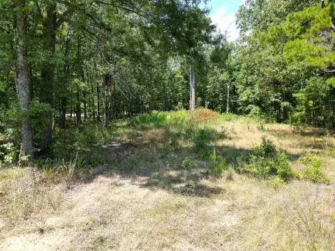 Residential Lot in Pine Bluff