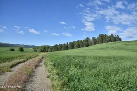 Hunting Land with Year-Round Creek
