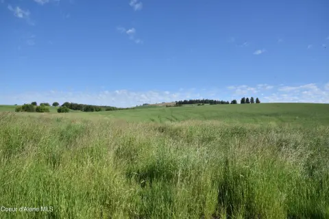 Rolling Hay Meadow Farmland