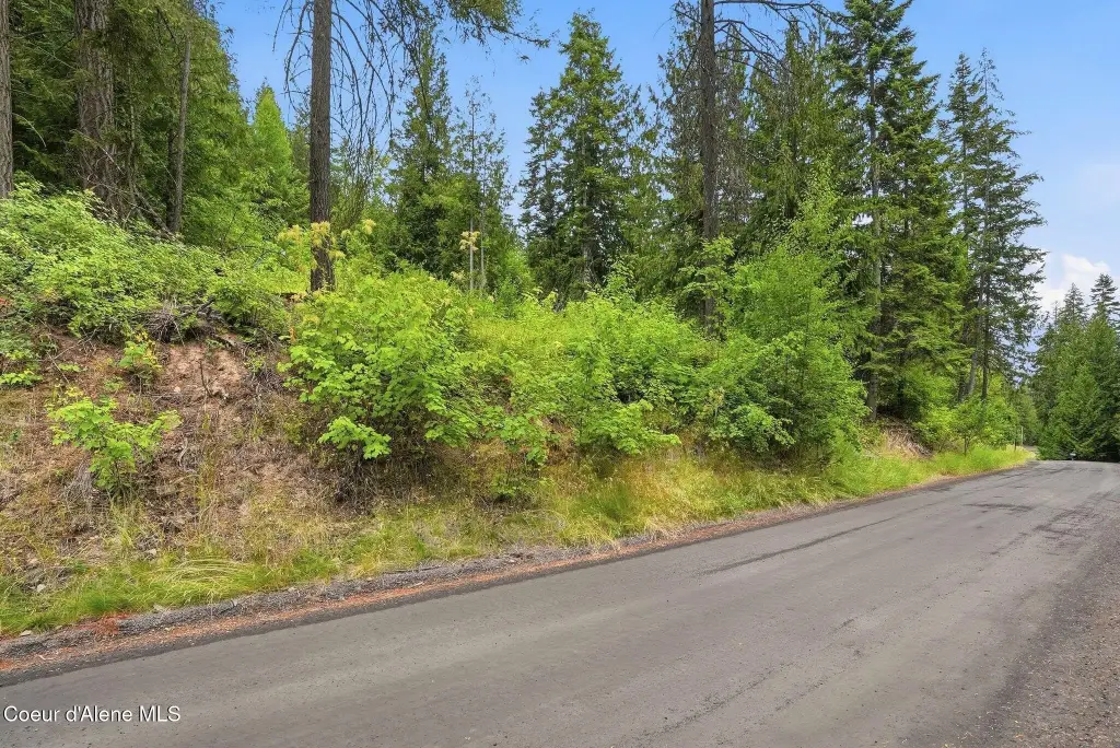 Picture 5