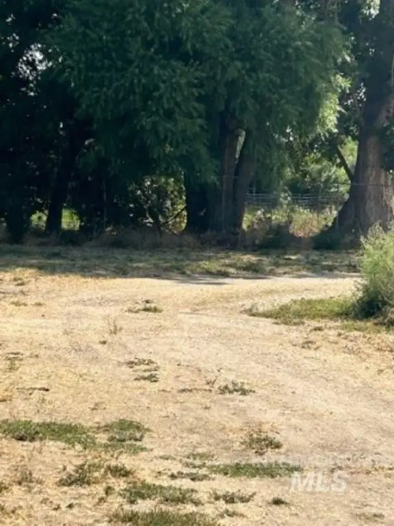 Picture 13