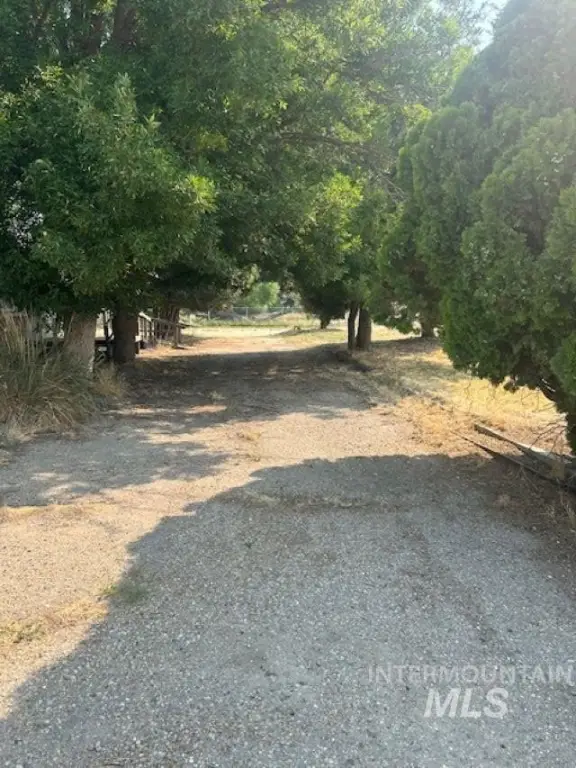 Picture 12