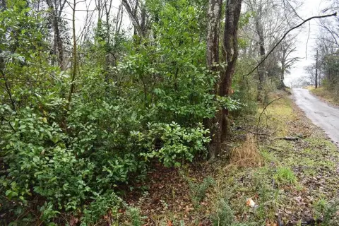 Wooded Lot in Palestine, TX
