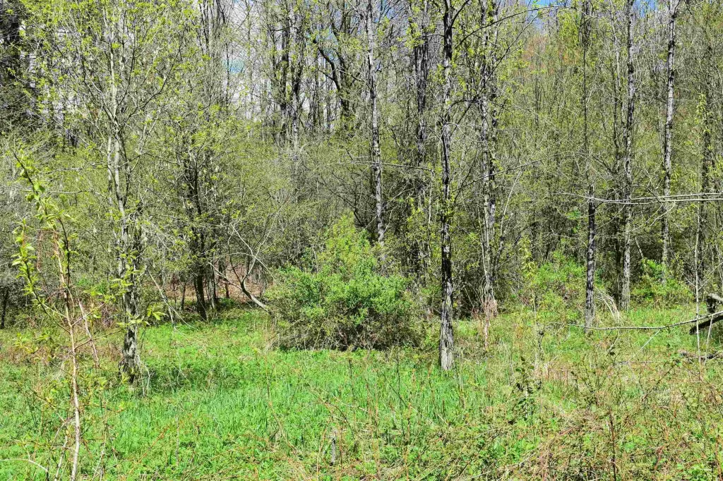 Picture 12