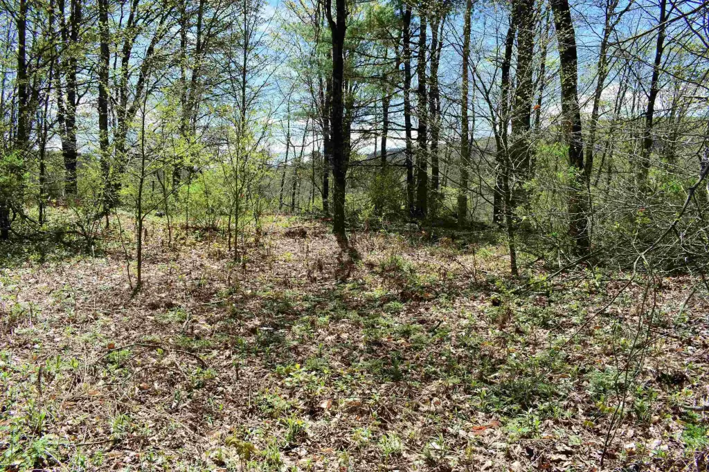 Picture 16