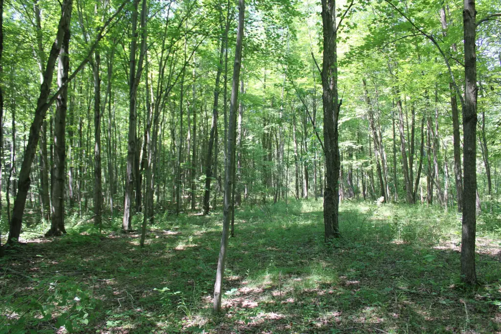 Picture 27